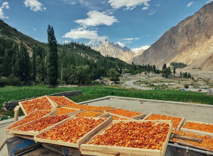 The Hunza People: Unraveling the Secrets of their Longevity – PIOskincare