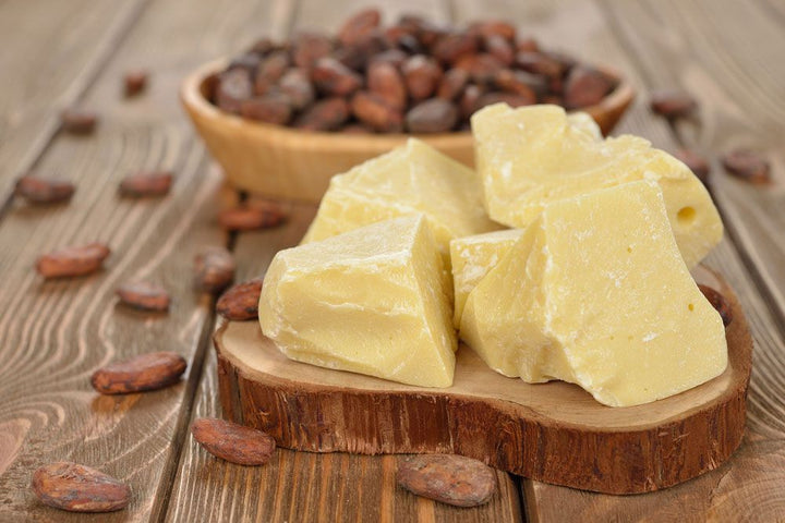 From Ancient Wisdom to Modern Skincare: The Power of Cocoa Butter